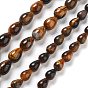 Природных тигровый глаз бисер нитей, слеза