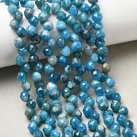 Natural Apatite Double Point Beads Strands, Faceted Bicone Beads, Top Drilled