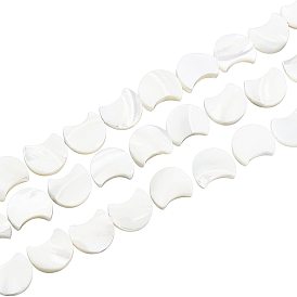 1 Strand Natural White Shell Beads Strands, Mother of Pearl Shell Beads, Moon