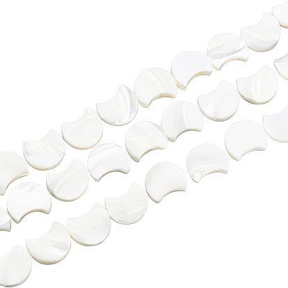 1 Strand Natural White Shell Beads Strands, Mother of Pearl Shell Beads, Moon