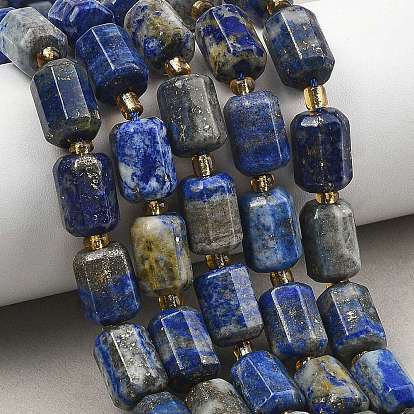 Natural Lapis Lazuli Beads Strands, Faceted, Column, with Seed Beads