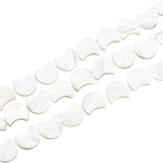 1 Strand Natural White Shell Beads Strands, Mother of Pearl Shell Beads, Moon
