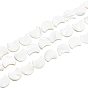 1 Strand Natural White Shell Beads Strands, Mother of Pearl Shell Beads, Moon