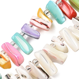 Натуральная оболочка из трохидных оболочек, с бисером, самородки, Топ пробуренной