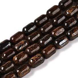 Natural Bronzite Beads Strands, Column