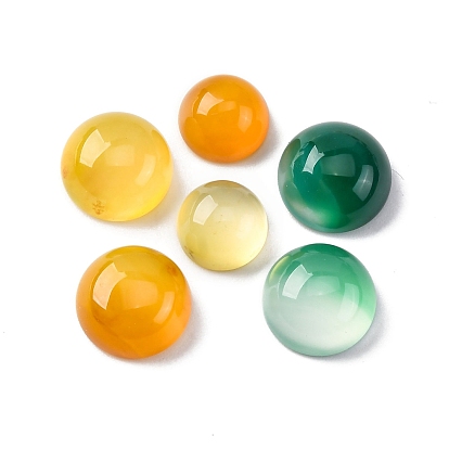 Природные кабошон агата, окрашенная и подогревом, полукруглые / купольные