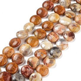 Flat Round Natural Crazy Lace Agate Beads Strands