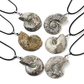 Natural Conch Fossil Pendant Necklaces, Imitation Leather Cord Necklaces with Iron End Chains