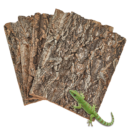 Украшение из коры дерева, для сада из песка для микроландшафта