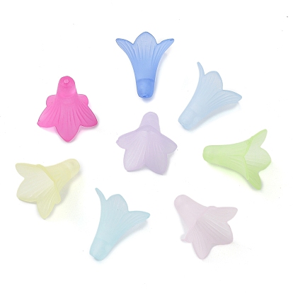 Прозрачные акриловые бусины, матовые, цветок