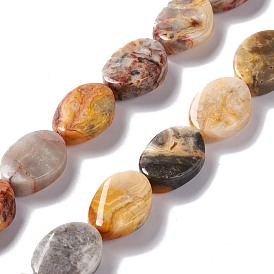 Natural Crazy Lace Agate Beads Strands, Twist Oval