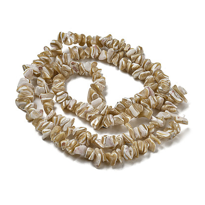 Natural Trochus Shell Beads Strands, Nuggets