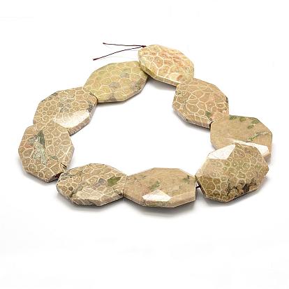 Natural Fossil Coral Beads Strands, Faceted, Oval