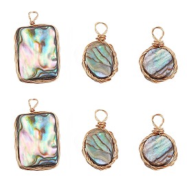 6Pcs 3 Style Natural Abalone Shell/Paua Shell Pendants, with Copper Wire, Flat Round & Oval & Rectangle