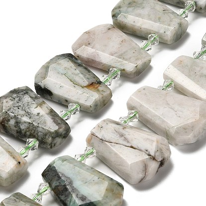 Натурального дерева агат бисер нитей, со стеклянными бусинами, граненые, слеза, Топ пробуренной