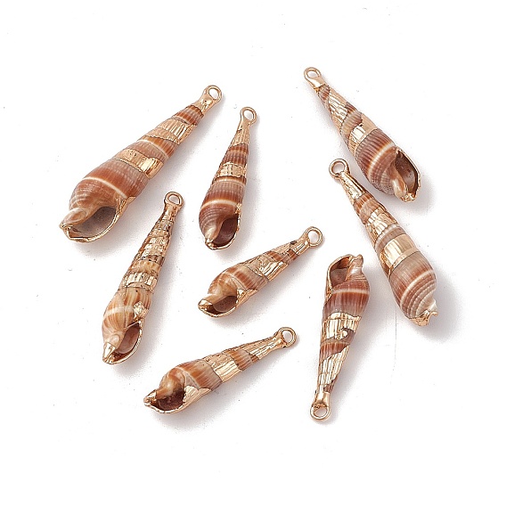 Electroplated Natural Cowrie Shell Pendants, Shell Charms, with Light Gold Tone Brass Findings