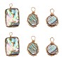 6Pcs 3 Style Natural Abalone Shell/Paua Shell Pendants, with Copper Wire, Flat Round & Oval & Rectangle