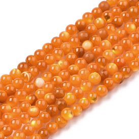 Natural Trochid Shell/Trochus Shell Beads Strands, Dyed, Round