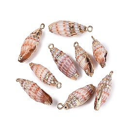 Pendentifs en coquillage spiralé naturel avec garniture en laiton doré électroplaqué, charmes de conque