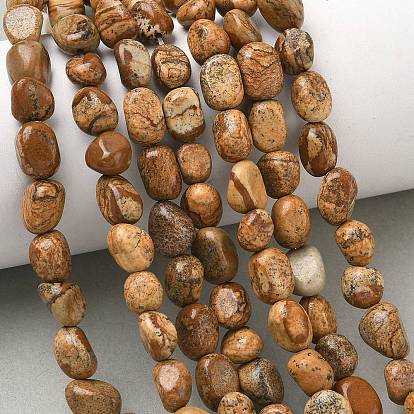 Natural Picture Jasper Beads Strands, Tumbled Stone, Nuggets