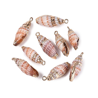 Pendentifs en coquillage spiralé naturel avec garniture en laiton doré électroplaqué, charmes de conque