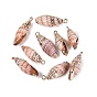 Electroplated Golden Brass Trim Natural Spiral Shell Pendants, Conch Charms