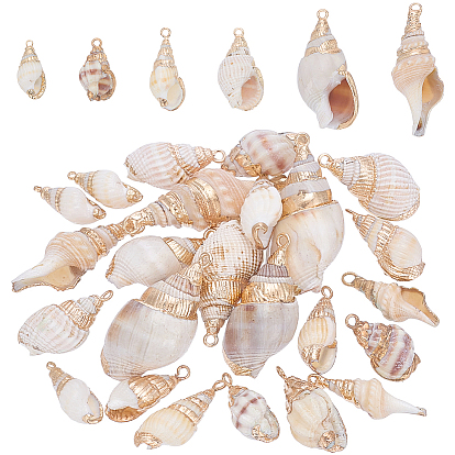 24шт 6 стили гальванические подвески из натуральной спирали, подвески в форме ракушки с фурнитурой из железа, золотой свет