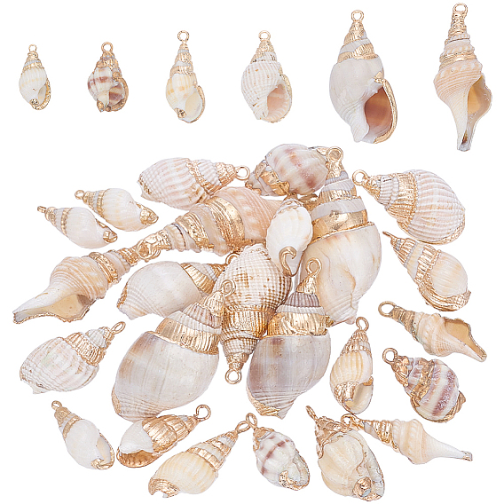 24шт 6 стили гальванические подвески из натуральной спирали, подвески в форме ракушки с фурнитурой из железа, золотой свет