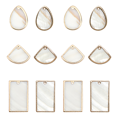 12Pcs 3 Style Natural Freshwater Shell Pendants, Brass Edge Golden Plated
