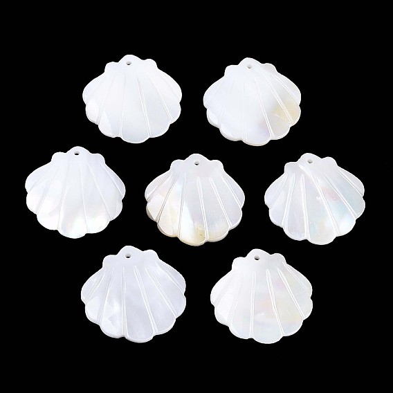 Подвески из натуральной ракушки, подвески в форме ракушек