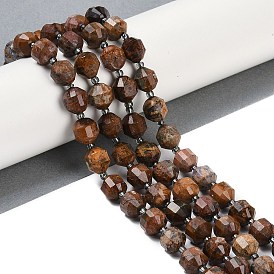 Natural Jasper Beads Strands, Faceted, Bicone, Double Terminated Point Prism Beads