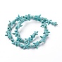 Synthetic Turquoise Beads Strands, Dyed, Starfish/Sea Stars