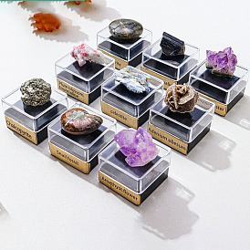 Reiki Raw Natural Gemstones Nuggets Specime in Square Plastic Box, for Home Display Decoration