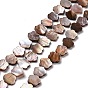 Naturelles coquillage perles brins, fleur