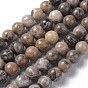 Fossiles naturelle perles de corail brins, ronde, Trou: 1mm