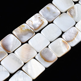 Natural Freshwater Shell Beads Strands, Square
