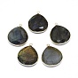 Natural Labradorite Pendants, with Brass Findings, Faceted, Drop