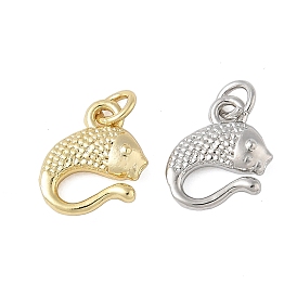 Латунные подвески, рыбы прелести, с целью перехода в кольце, долговечный, без свинца и без кадмия