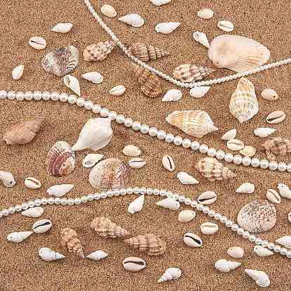 Natural Cowrie Shell Beads & Glass Pearl Round Bead