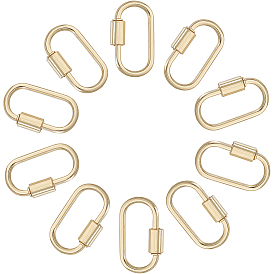 10шт. подвески-замки с винтовым карабином из сплава, овальные