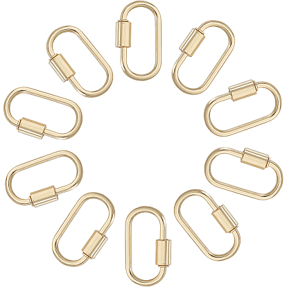 10шт. подвески-замки с винтовым карабином из сплава, овальные