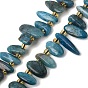 Natural Apatite Beads Strands, Nuggets, with Seed Beads, Top Drilled, Tumbled Stone