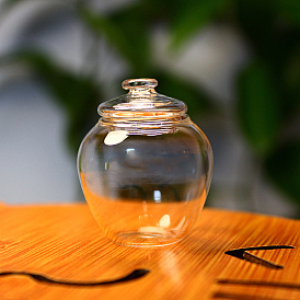 Mini Glass Jar, Canister, with Lid, for Dollhouse Accessories Pretending Prop Decorations