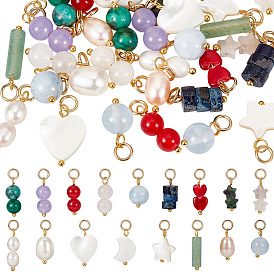34 pièces 17 styles pendentifs en coquillage naturel, perle naturelle et pierre précieuse, avec les accessoires en laiton, formes mixtes