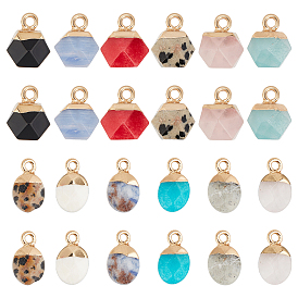 12Pcs 12 Style Natural & Synthetic Electroplate Gemstone Charms, with Golden Iron Findings, Faceted, Oval & Polygon