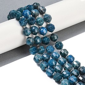 Natural Apatite Beads Strands, Faceted, Bicone, Double Terminated Point Prism Beads