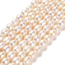 Natural Cultured Freshwater Pearl Beads Strands, Two Sides Polished, Grade 5A+