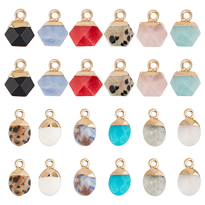 12Pcs 12 Style Natural & Synthetic Electroplate Gemstone Charms, with Golden Iron Findings, Faceted, Oval & Polygon