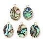 Natural Paua Shell Pendants, Oval Charms with Brass Edge