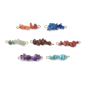 7Pcs 7 Styles Chakra Natural Red Jasper & Howlite & Tiger Eye & Carnelian & Green Aventurine & Lapis & Amethyst Chip Beaded Connector Charms, with 304 Stainless Steel Findings, Golden